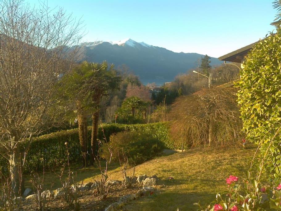 Amazing 3 Bedrooms Villa With Lavish Garden, Breathtaking Lake And Mountains View Luino Exteriör bild